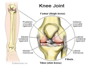acute knee injuries